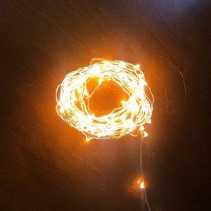 String of fairy lights with plug